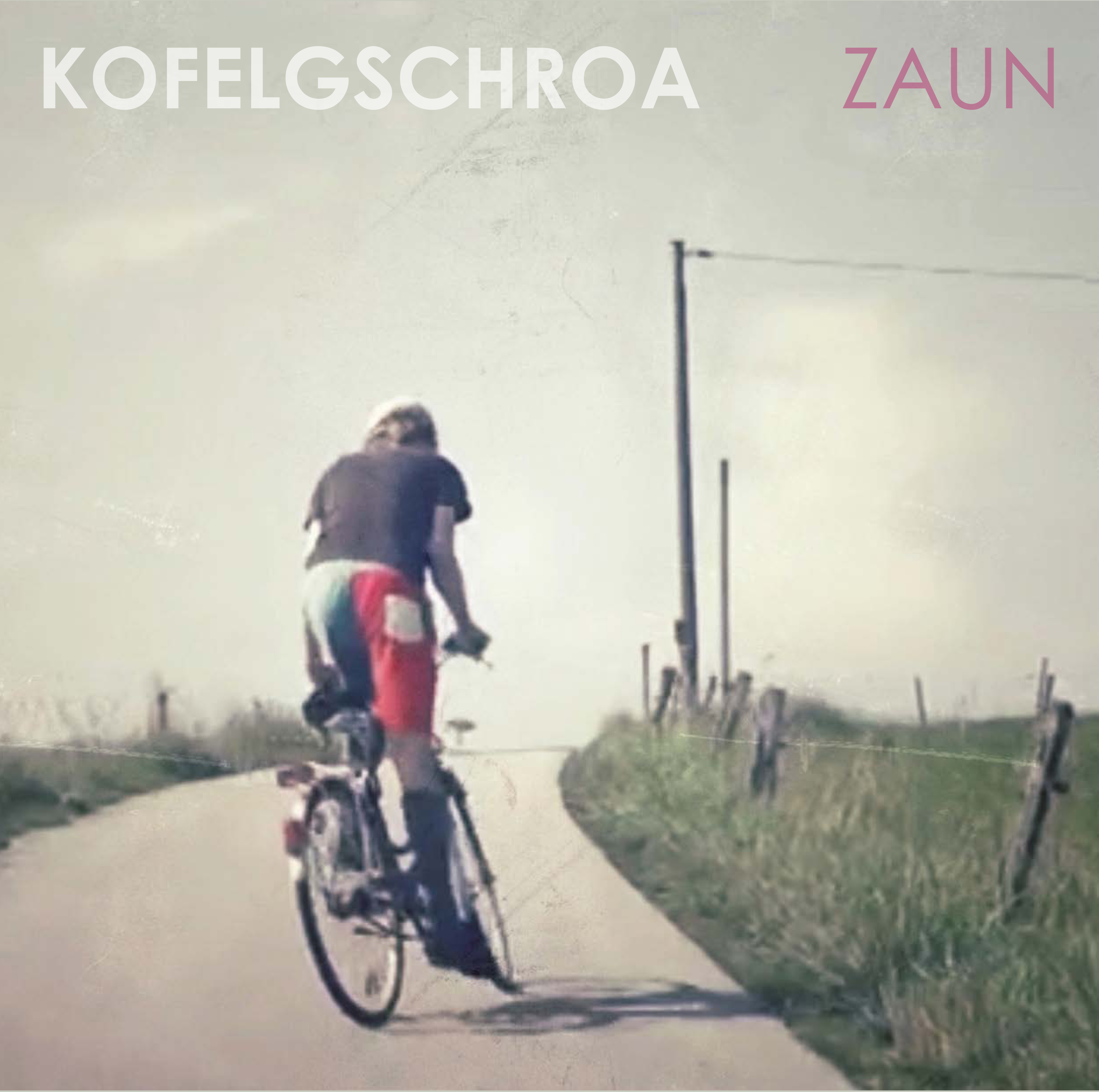 Kofelgschroa - Zaun als Doppel-Vinyl