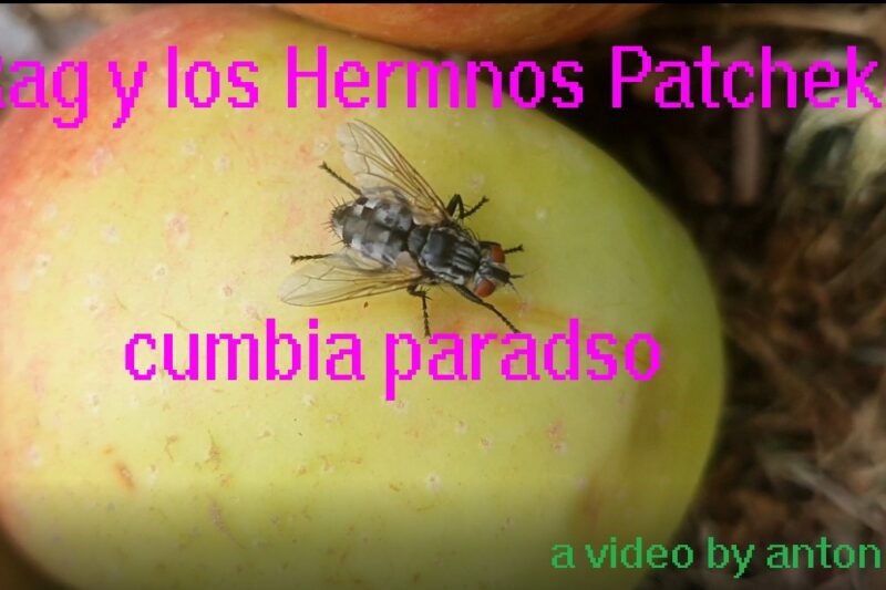 Video: G.Rag y los Hermanos Patchekos - Cumba Paradiso